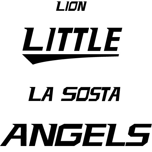 オリジナル刺繍　刺繍加工　刺繍　直接刺繍　チェーンステッチ刺繍　チェーンステッチ　ランニングステッチ　相良刺繍サテンステッチ　タタミステッチ　Tシャツ　トレーナー　ランニング　ノースリーブ　ベスト　セーター　ポンチョ　ウインドブレーカー　コーチジャケット　デニムジャケット　ジャケット　エプロン　Yシャツ　ワイシャツ　ワークシャツ　ダンガリーシャツ　開襟シャツ　背広　スーツ　スラックス　学生服　体操服　メルトンシャツ　メルトンジャケット　 ジャージ　トレーニングウエア　ウエア　型代無料書体　オリジナル書体　パーカー　ジップアップ